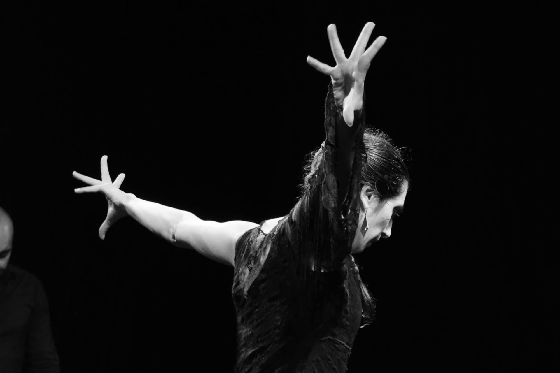 Alain Ronteix « Au coeur de la danse »