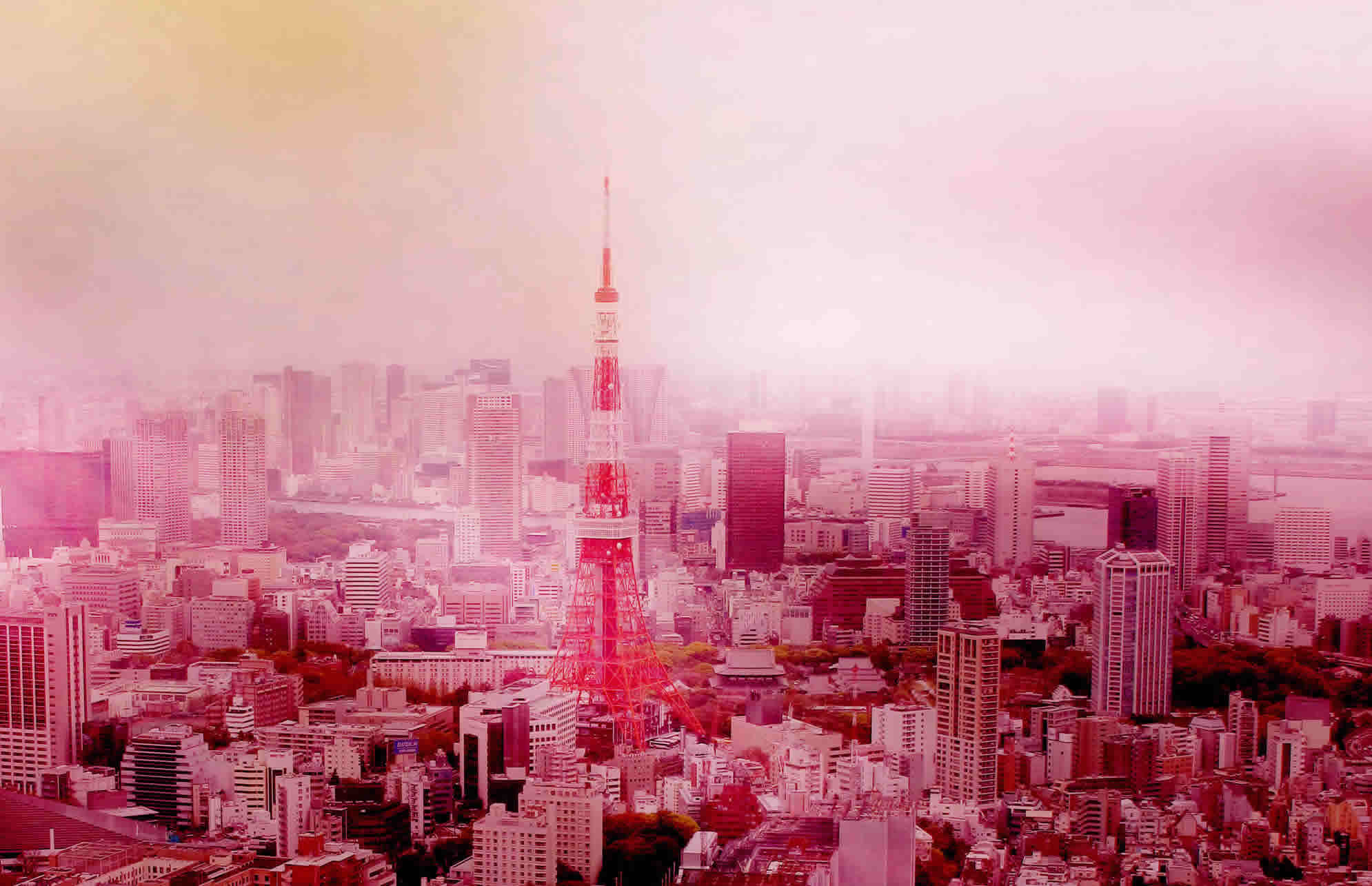 Pascal Ken « 7 Days in Tokyo »