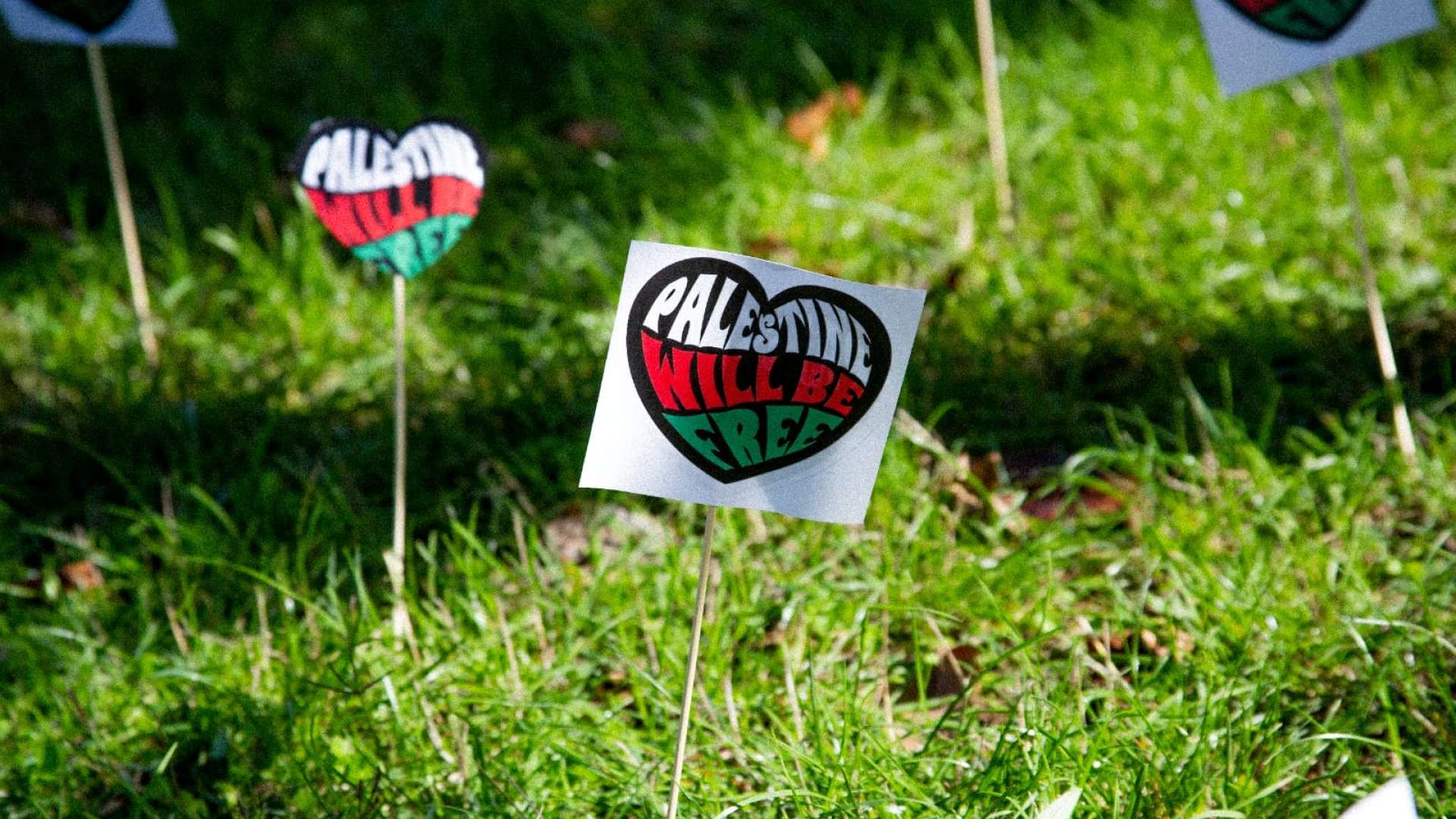 12H SOUS LE SIGNE DE LA PALESTINE