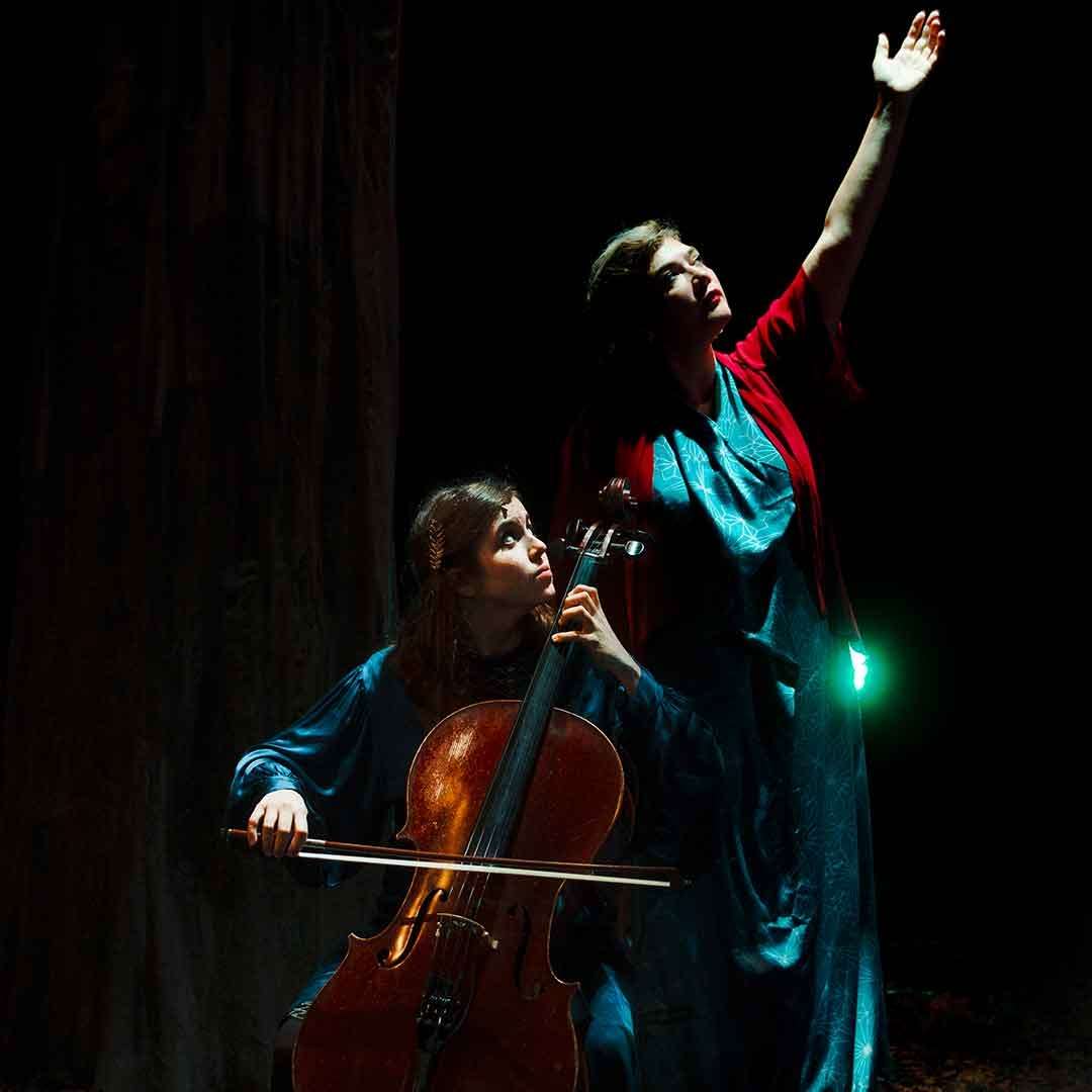 Birds on a Wire est un duo musical composé de Rosemary Standley, chanteuse du groupe Moriarty, et de Dom La Nena, violoncelliste brésilienne. En concert à Bordeaux au Rocher de palmer le 14 septembre 2024